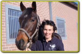 Massage van paard 6